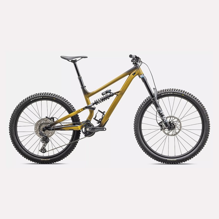 Status 2 170 | Satin Harvest Gold Tint